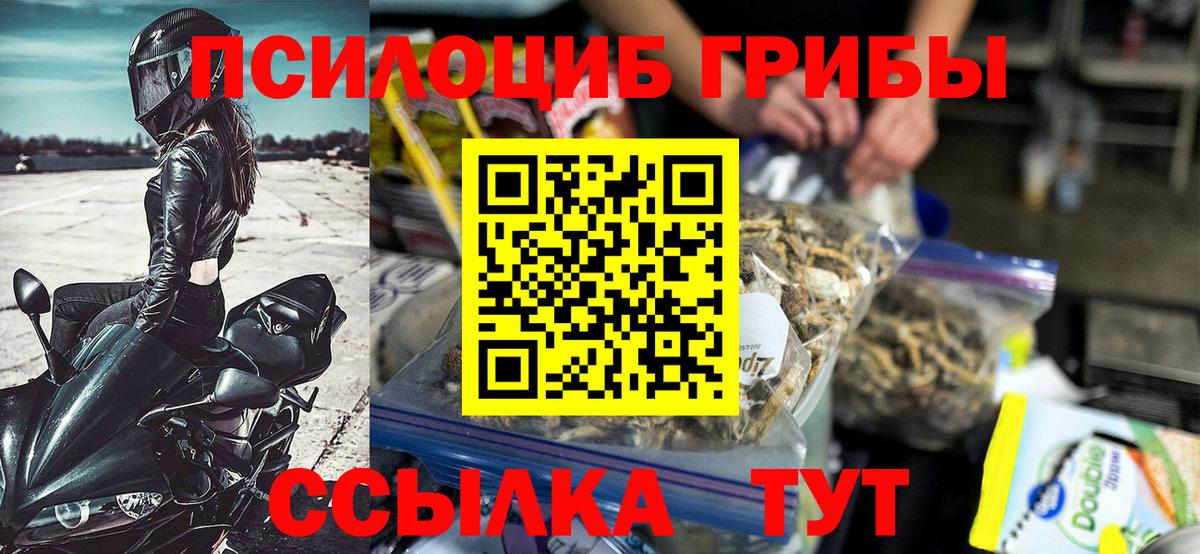 Губкин  Галлюциногенные грибы Psilocybe  Вход с VPN 