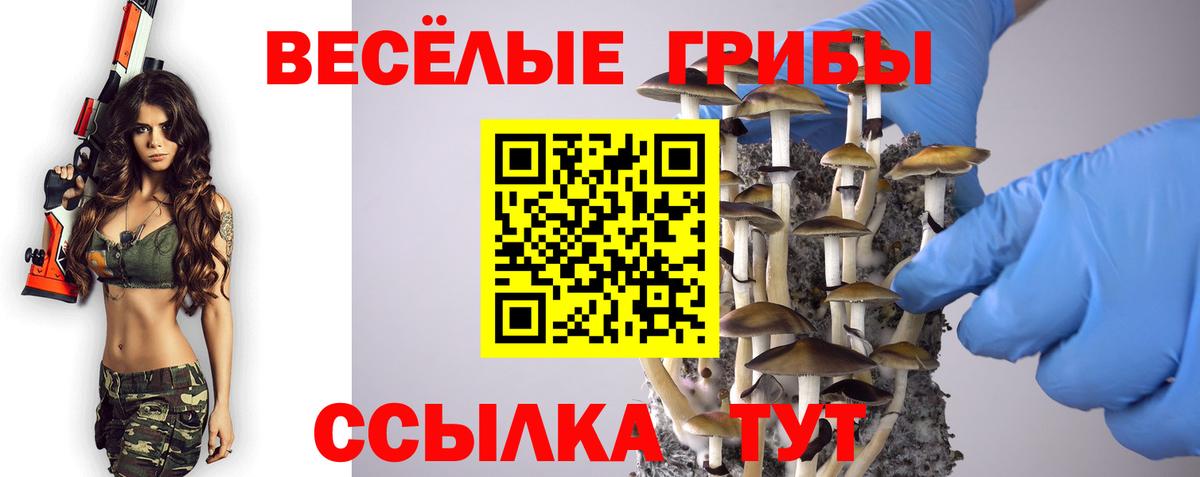 Галлюциногенные грибы Magic Shrooms Губкин